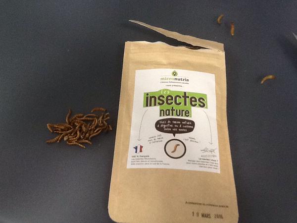 He aquí la prueba. Ya estoy preparado para ser «Ed…